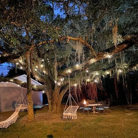 Nature Coast Getaway #1 - Cozy 2 Bedroom Homosassa Eksteriør billede